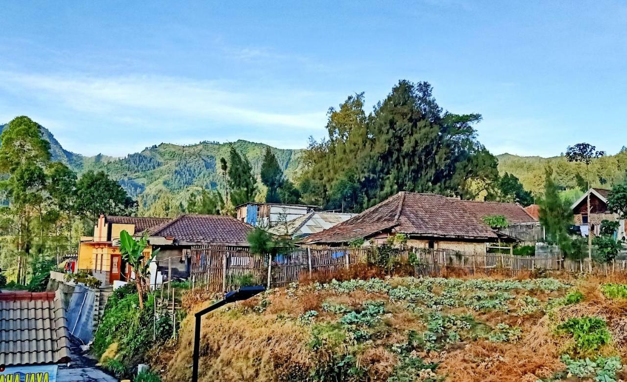 Homestay Anggun Bromo Exterior photo